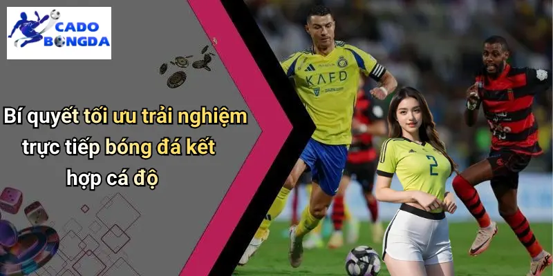 Trực tiếp bóng đá 3 Trực Tiếp Bóng Đá