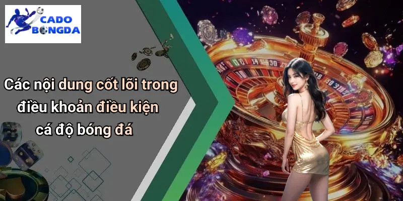 Điều Khoản Điều Kiện