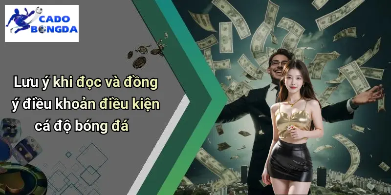 Điều Khoản Điều Kiện