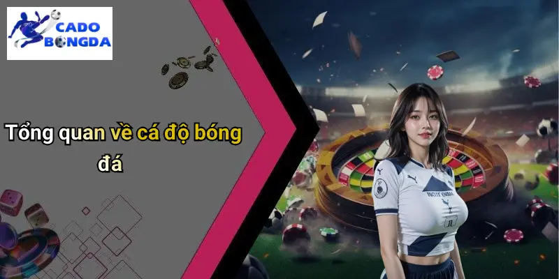 Cá Độ Bóng Đá