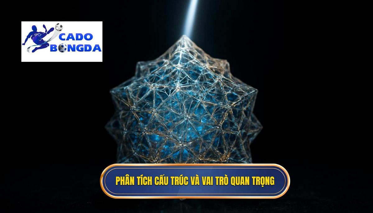 Phân tích Cấu trúc và Vai trò then chốt