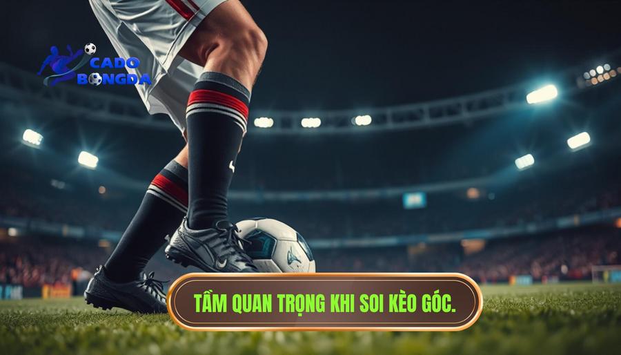 Tại sao việc xác định đội bóng nào thường thắng kèo góc lại quan trọng?